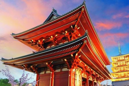 Tokyo Full Day Customize Private Tour with English Guide 