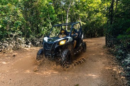 Extreme Buggy Adventure with Ziplines & Cenote & Tequila Tasting
