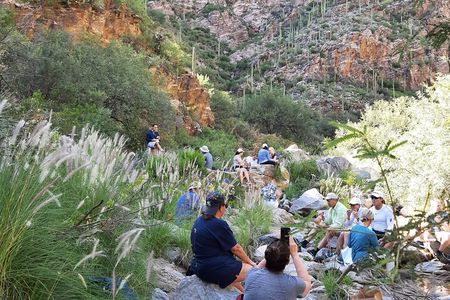 Hiking Ventana Canyon and Sabino Canyon
