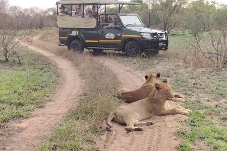 5 Day Kruger Park tours and Manyeleti Safari and Panorama Tour