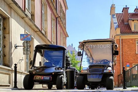 Gdansk 1 Hour Guided Tour through the Heart of the Old Town