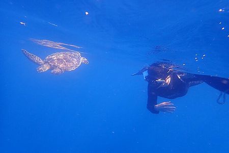 Discover Ishigaki's Hidden Treasures Snorkeling Tour at BlueCave 