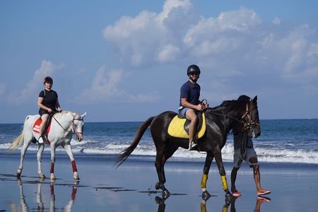 Saba Beach Horse Riding Experience