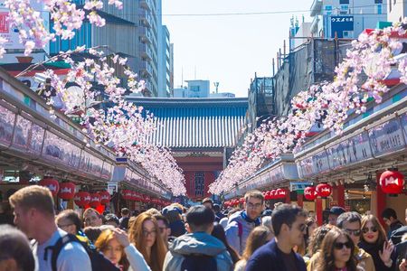 Private Asakusa tour to introduce you to some unusual places