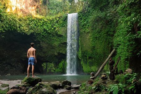 Bali: Best of Ubud Instagram highlights All-inclusive Package 