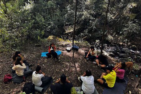 Immerse in the Nature: Deep Connection through Forest Bathing