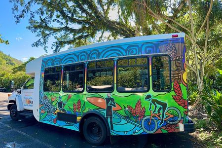 Oahu North Shore Experience: Activities, Waterfall & Free Time