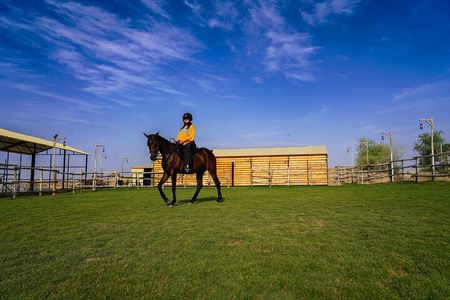 Dubai Al Marmoom Oasis Horse Riding Experience with Snack