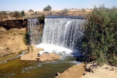 Fayoum full Day Tour from Cairo