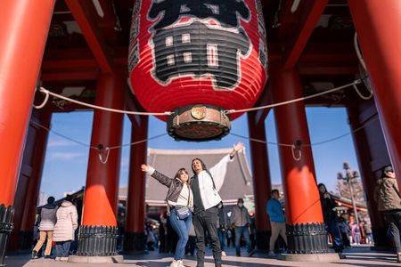 1 Day Tokyo Highlights Tour with a Private Car