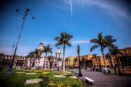 Lima City Tour and Larco Museum