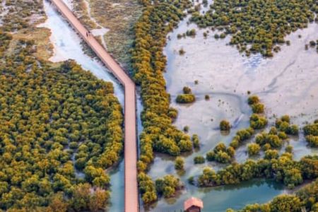 North of Qatar Tour, Zubara Fort, Mangroves, Jumail Village
