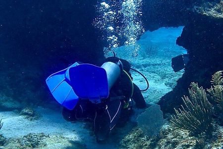 Scuba Diving for Beginners – Tulum Dive Machine