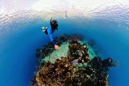 3 Stops Snorkeling Southeast and Brady's Cay