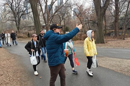 Afternoon Guided Walking Tour of Central Park