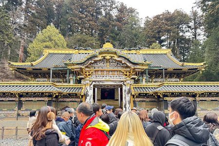 Nikko Private Day Tour – Temples, Nature & Hidden Gems