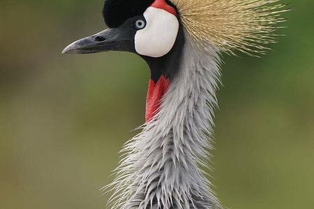  Private 6 Day Arusha Adventure Tour by 4WD