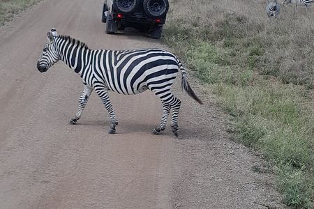 Nairobi National Park Giraffe Center and Carnivore Restaurant