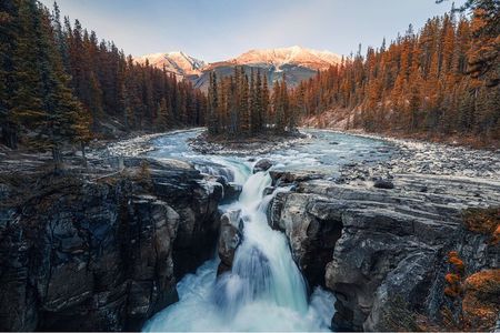 Athabasca Falls/Abraham,Sunwapta Falls,Icefield & Peyto Lake Tour