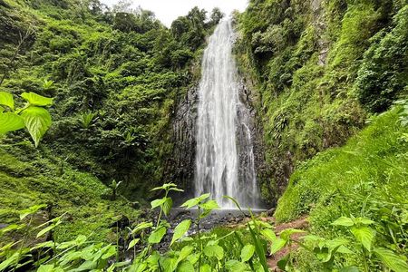 Materuni Waterfalls Hiking with Coffee Tour and Chemka Hotsprings