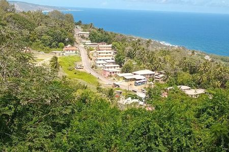 Barbados Private Custom Island Tour