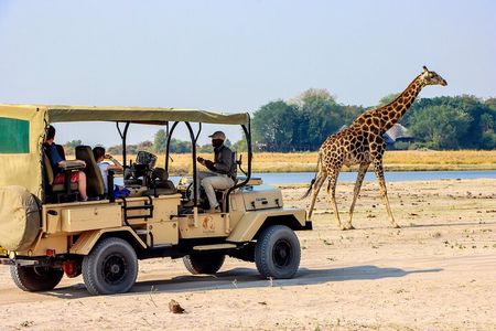 3 hrs Game drive in Chobe National Park (Leon Safaris Gold)