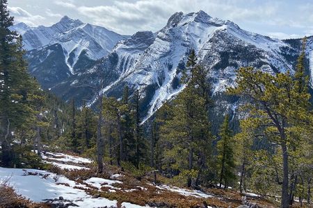 Flight of the Golden Eagle Interpretive Hike (Wasootch Trail)