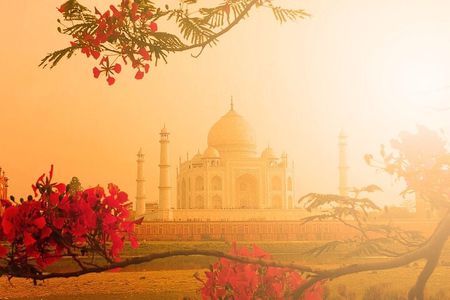 Same Day Taj Mahal Tour by Train