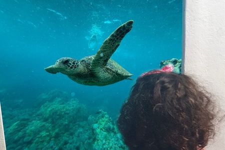 Paphos: Swim Cruise with Turtle Watching, Drinks & Aperol Spritz