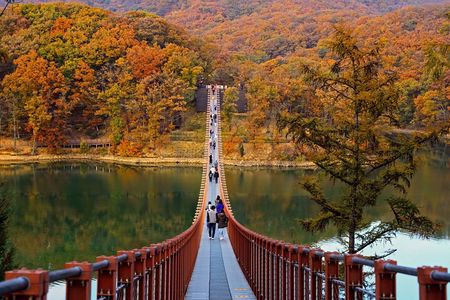 DMZ Tour Seoul to North Korea's 3rd Tunnel & Majang Lake Crossing