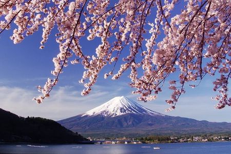 Tokyo: Mount Fuji One Day Trip Lake Kawaguchi & Lake Yamanaka
