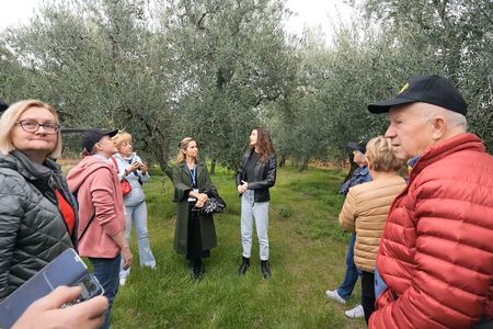 Olive Tree Tour, Visit Vallarella Oil Mill, Oil Tasting