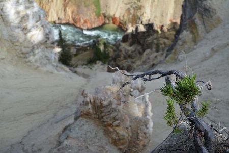 Grand Canyon of Yellowstone Hiking Adventure Full Day with Lunch