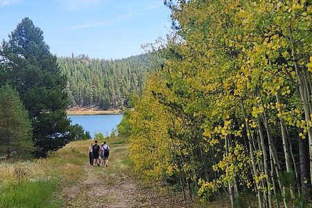 Hike the Rockies Half Day Tour