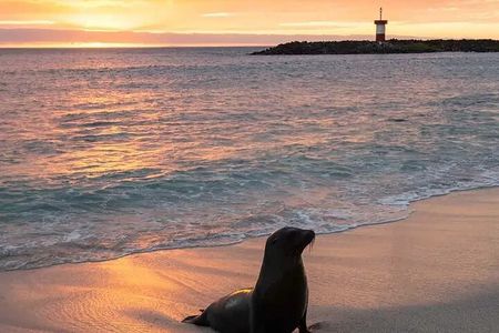 Galapagos the Enchanted Islands 5 Days Private Adventure