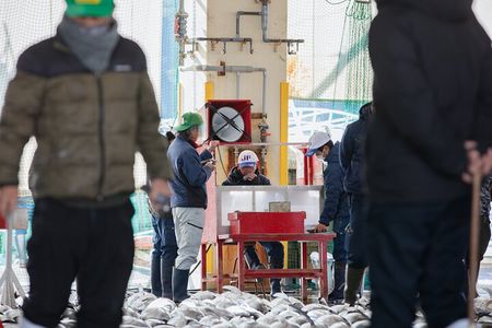 Tuna Auction Market Guided Private Tour in Nachi-Katsuura