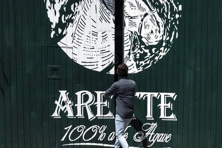 Private Tour to Tequila with Tequila Arette Tasting