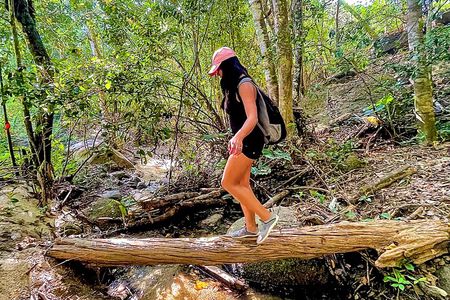 Hiking Adventure in Puerto Vallarta