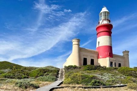  Cape Agulhas Full Day Private Tour