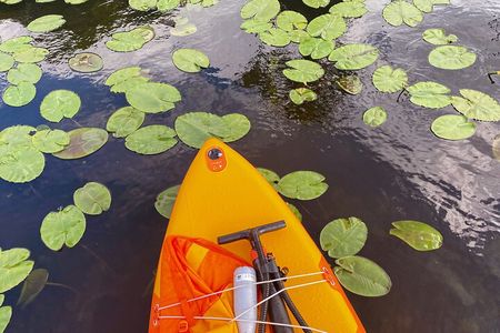 Stand Up Paddle tour from Tirana Albania to Skadar Lake & Buna River