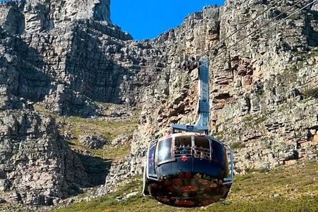 Table Mountain Half Day Tour with Cable Cart Experience