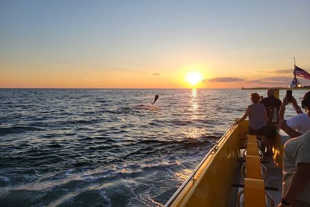 Dolphin and Sunset tour aboard the Hydro Rocket