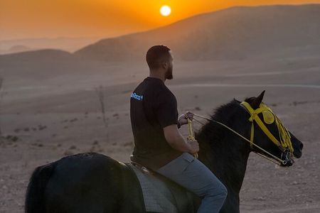 GoRocco Agafay Desert Horse Camel Quad Swim Dinner show