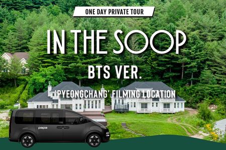BTS In The Soop Version: One Day Private VIP Tour