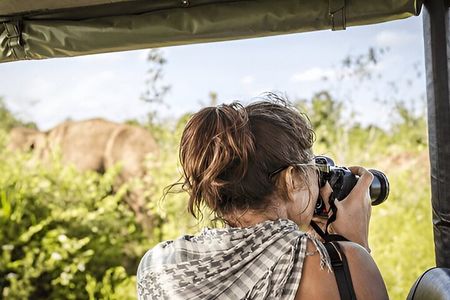 Private Tour from Ella to Tangalle with Udawalawe Safari