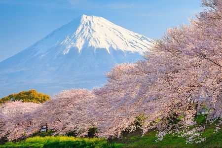 Mount Fuji & Hakone: 1-Day Private Van Tour with Hotel Pick-Up