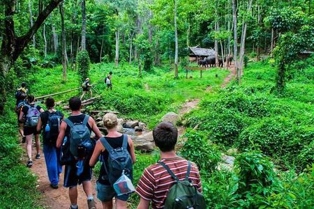3-Day Chiang Mai Jungle Trek and Bamboo Rafting