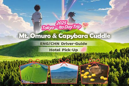 Tokyo-Izu: Volcano, Ocean& Capybara Cuddle with Izu Scenic Train