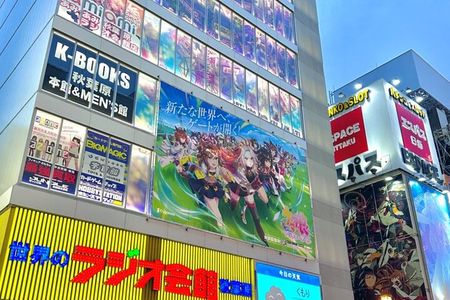 Tokyo City Customized Private Day Tour