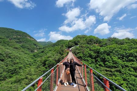 Insightful DMZ Tour by Expert opt. Suspension Bridge with Pickup